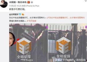 卓伟爆料赵五儿视频播放,赵五儿视频播放引发热议，揭秘娱乐圈幕后真相