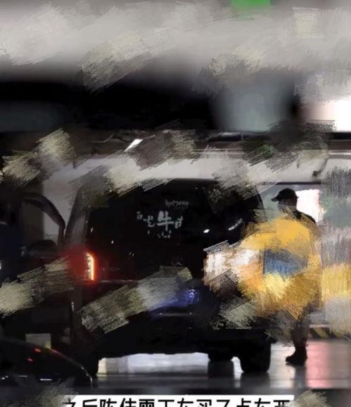 陈伟霆机枪爆料视频播放,揭秘幕后的精彩瞬间